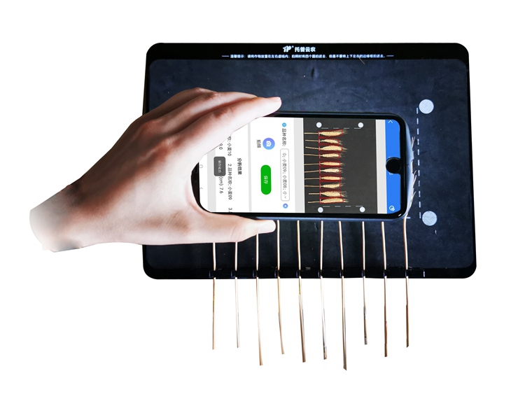麥穗形態(tài)測(cè)量?jī)x TPMS-X-1