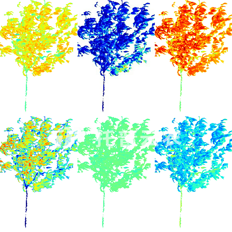 果樹解析圖(水?。?jpg